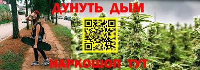 прущие крисы Будённовск