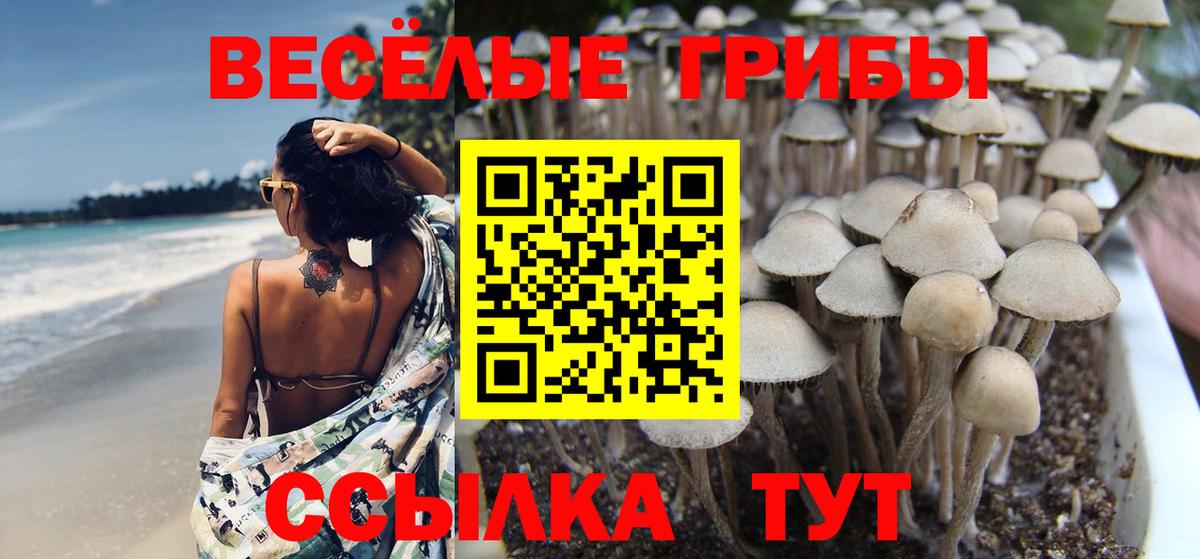 Острогожск  Галлюциногенные грибы Cubensis  Галлюциногенные грибы Psilocybine cubensis  Вход с VPN 
